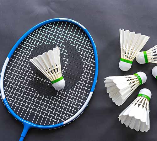 会争夺冠军 会争夺冠军