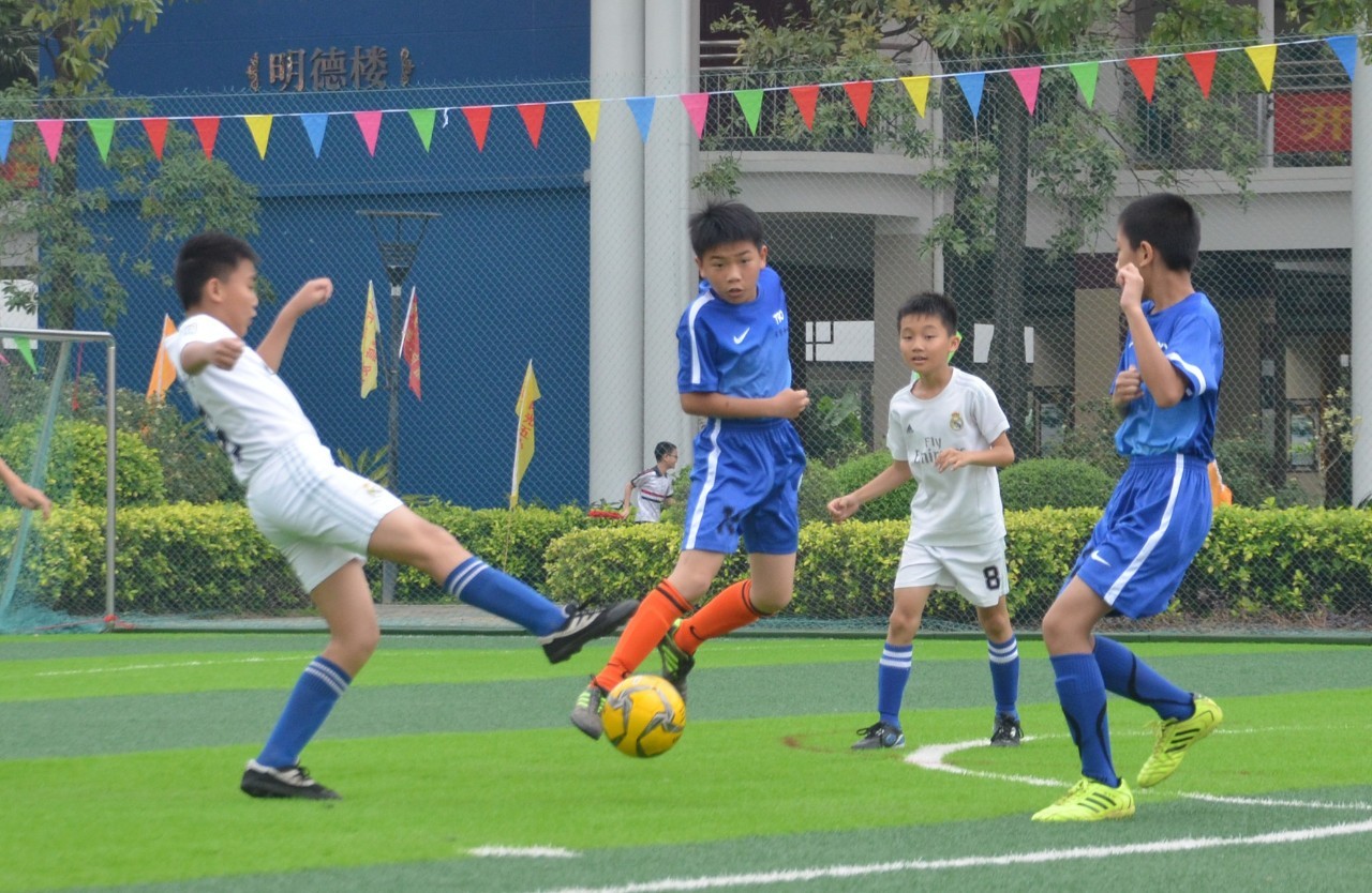 这不仅是对 这不仅是对